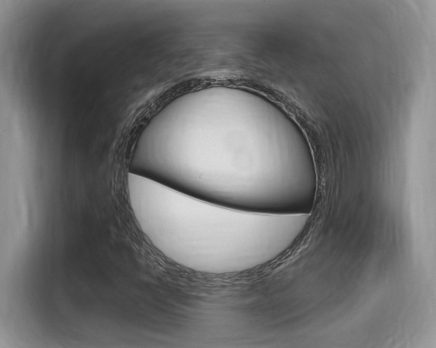 X0000115711398200911120954