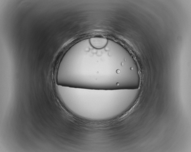 X0000115711402200911120954
