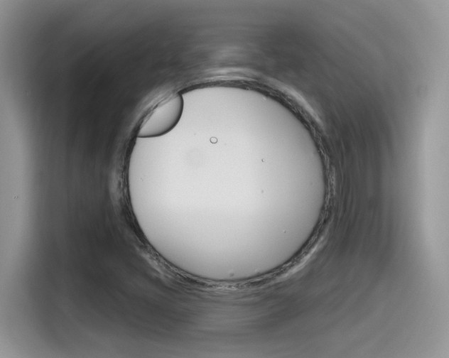 X0000115711405200911120954