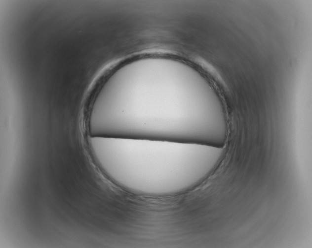 X0000115711408200911120954