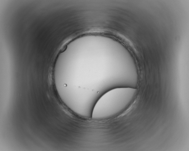 X0000115711409200911120954