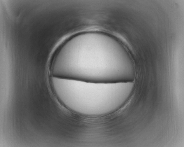 X0000115711414200911120954