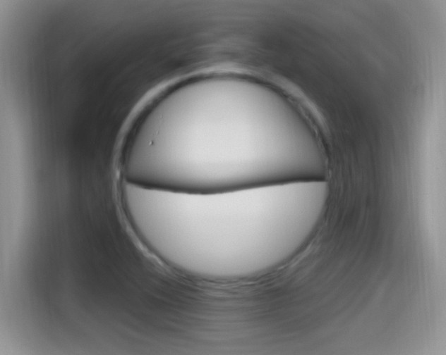 X0000115711416200911120954