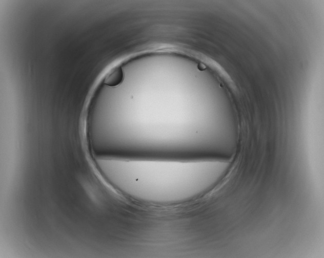 X0000115711424200911120954