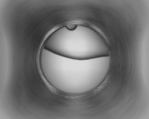 X0000115711426200911120954