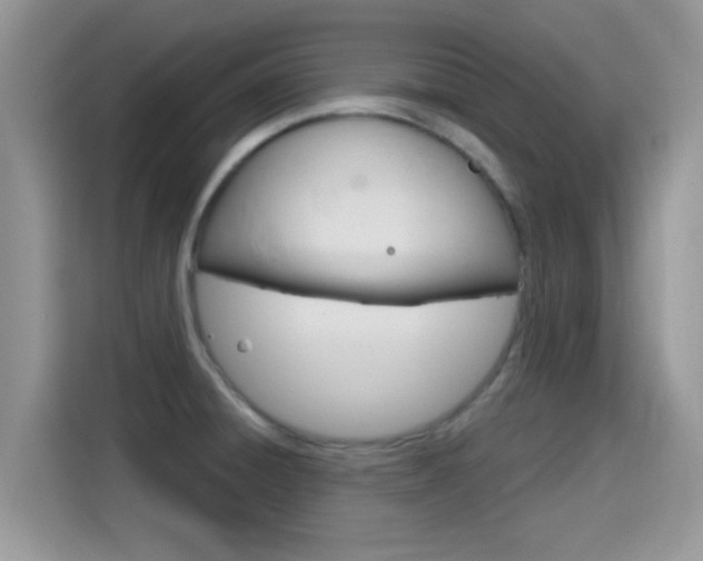 X0000115711428200911120954