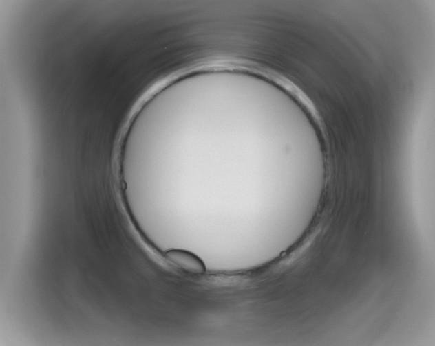 X0000115711429200911120954