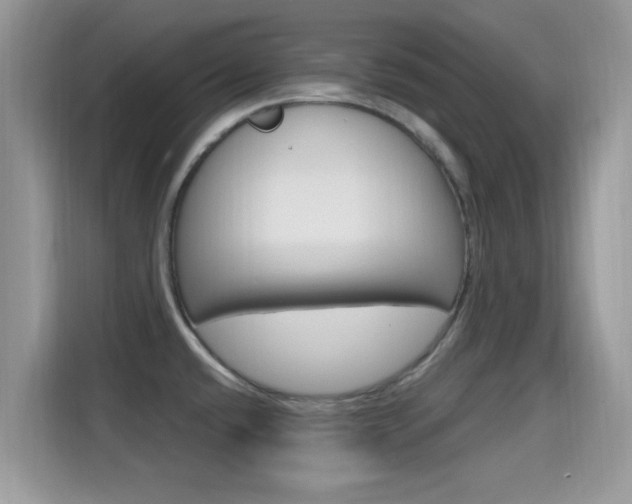 X0000115711432200911120954