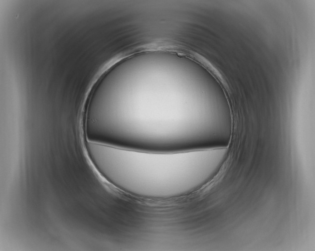 X0000115711434200911120954