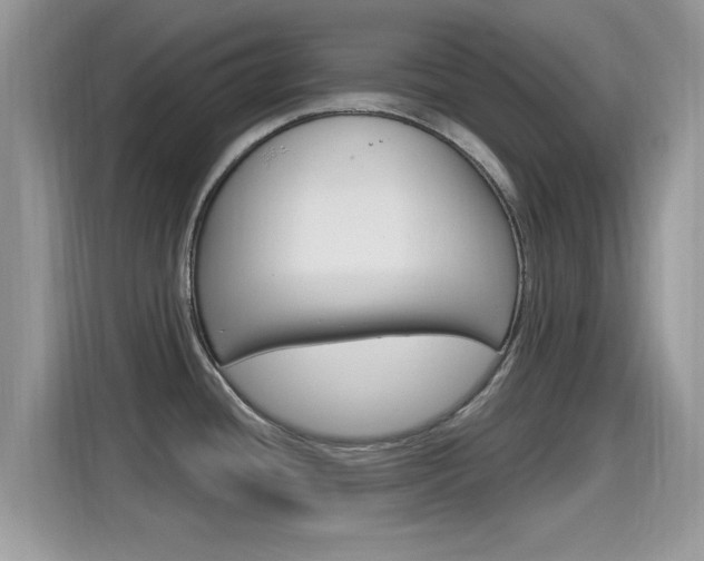 X0000115711436200911120954