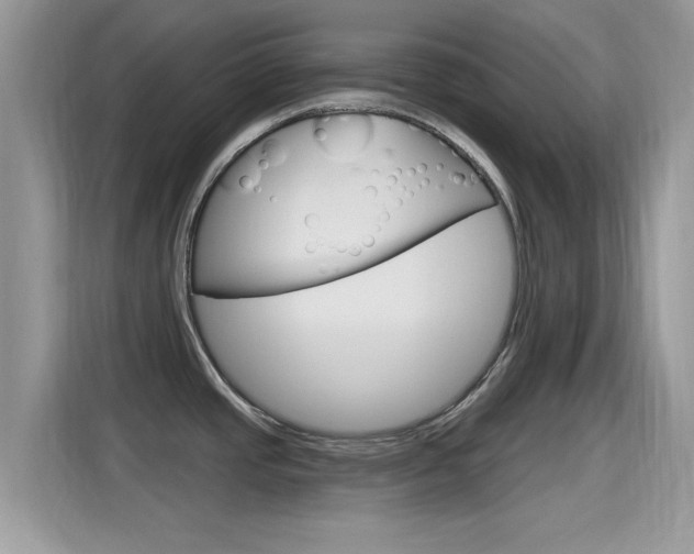 X0000115711437200911120954