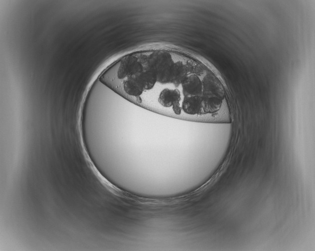 X0000115711438200911120954