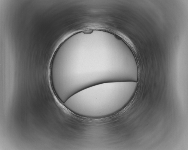 X0000115711439200911120954