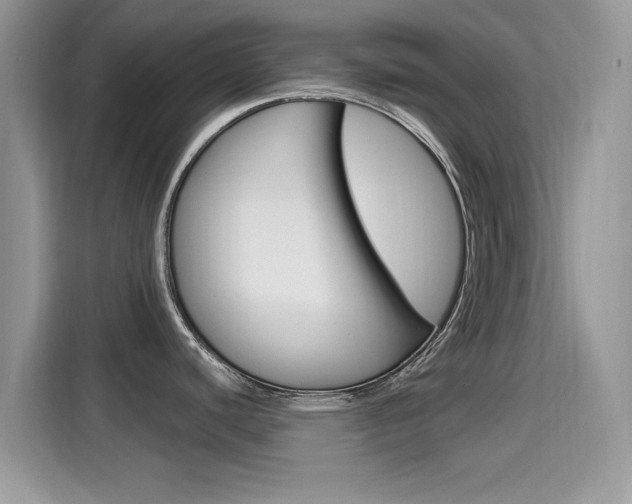 X0000115711440200911120954
