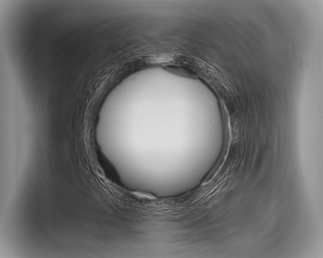 X0000115711441200911120954