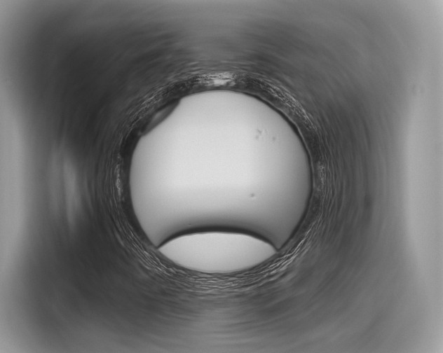 X0000115711442200911120954