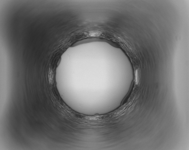 X0000115711443200911120954