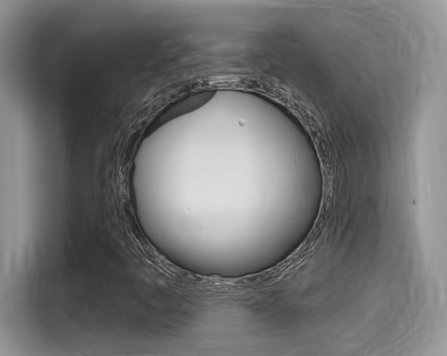 X0000115711445200911120953