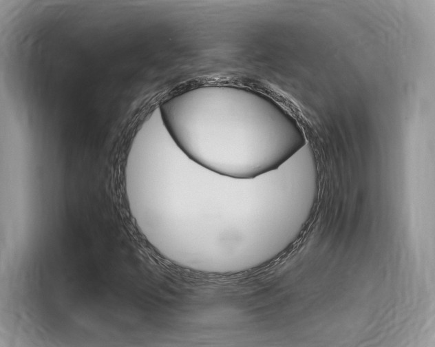 X0000115711447200911120953
