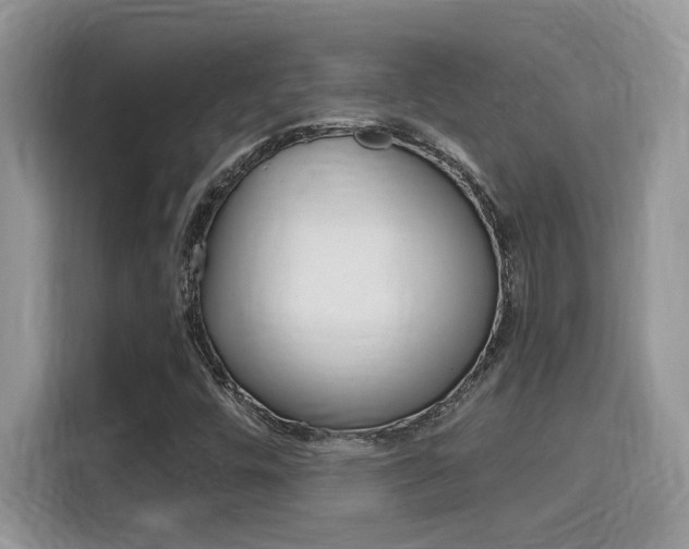 X0000115711448200911120953