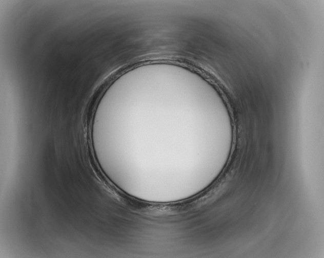 X0000115711450200911120953