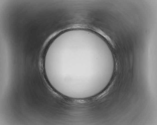 X0000115711454200911120953