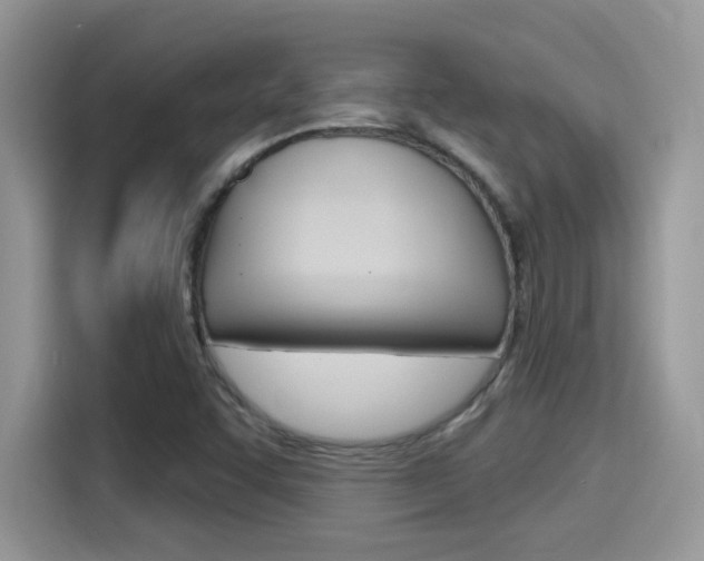 X0000115711455200911120953