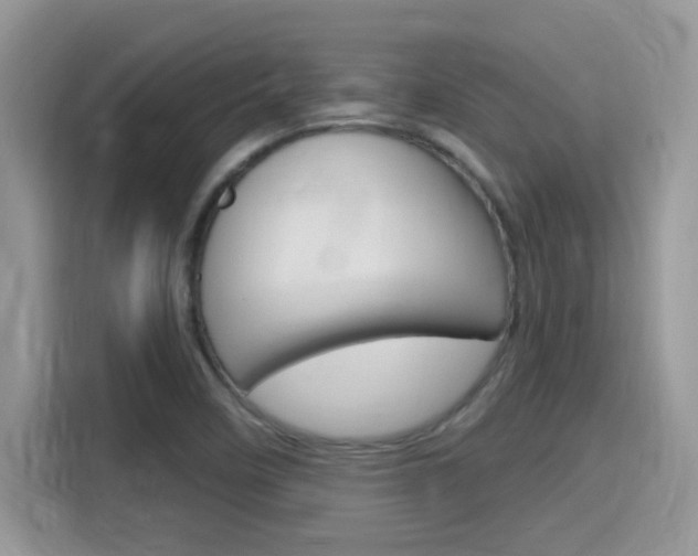 X0000115711458200911120953