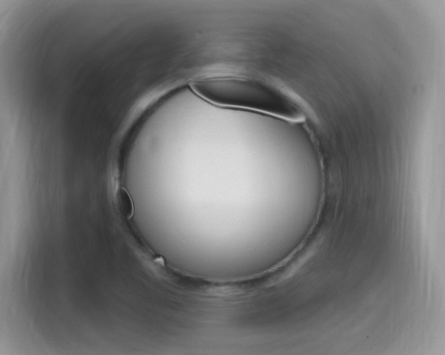 X0000115711461200911120953