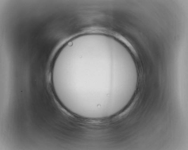 X0000115711462200911120953