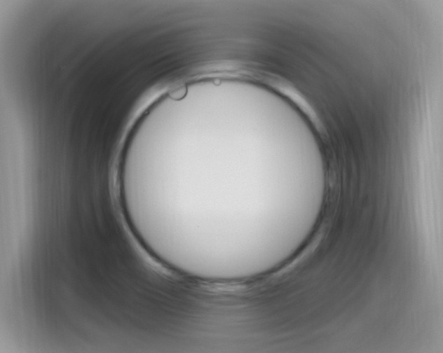X0000115711466200911120953
