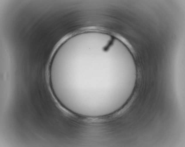 X0000115711474200911120953