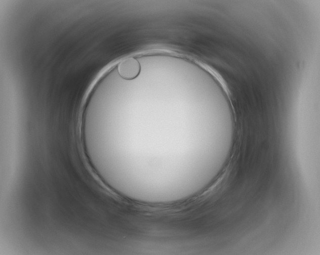 X0000115711477200911120953