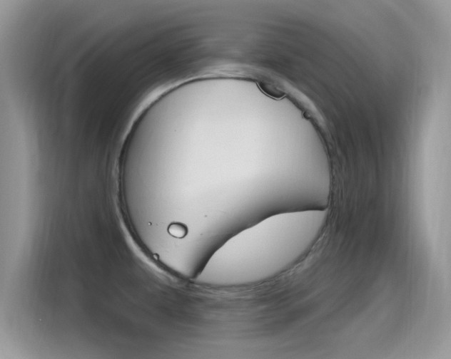 X0000115711479200911120953