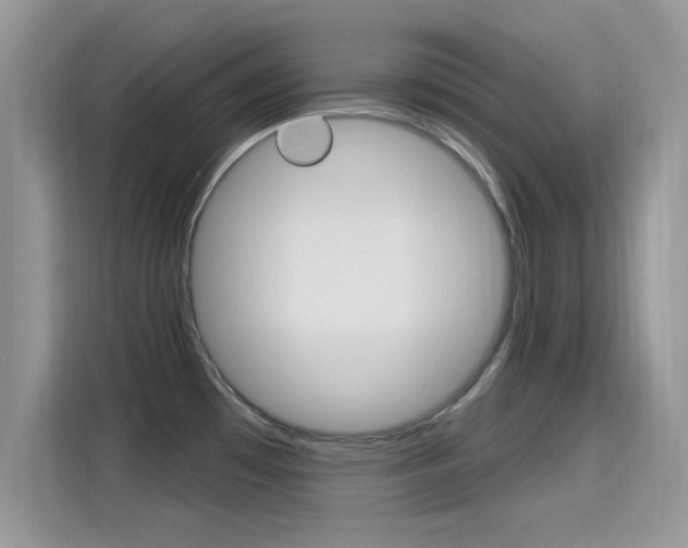 X0000115711481200911120953