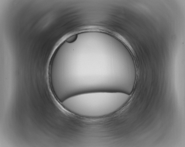 X0000115711482200911120953