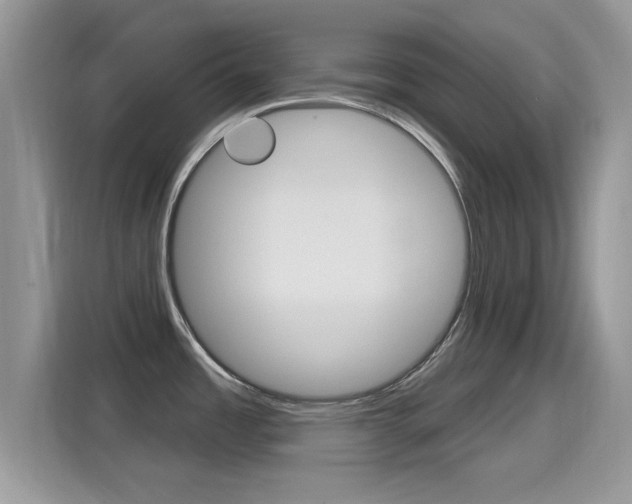 X0000115711485200911120953