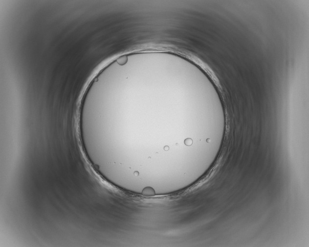 X0000115711486200911120953