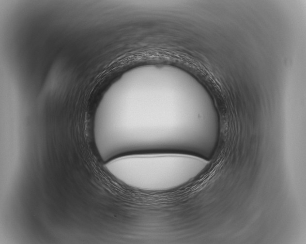 X0000115711490200911120952
