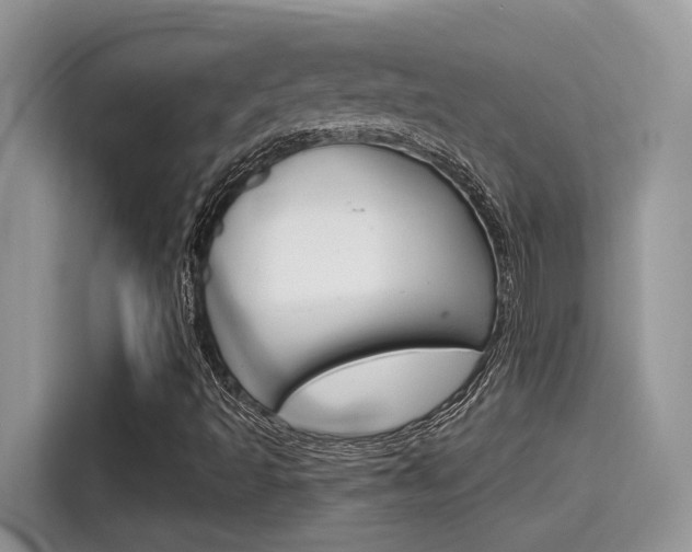 X0000115711493200911120952