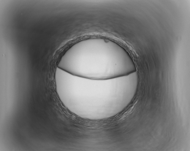 X0000115711494200911120952