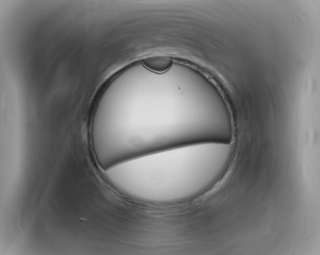 X0000115711505200911120953
