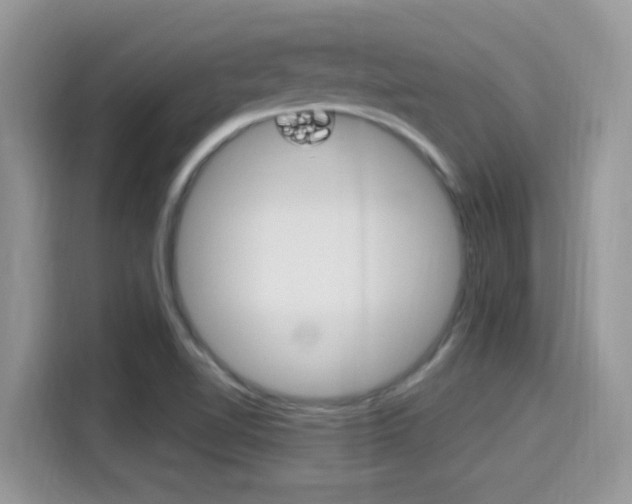 X0000115711510200911120953