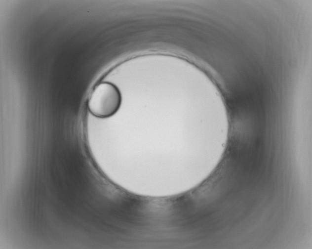 X0000115711514200911120953