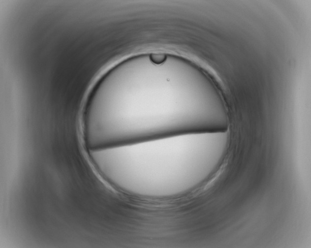 X0000115711517200911120953