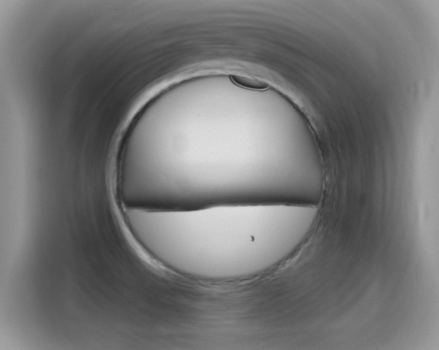 X0000115711523200911120953