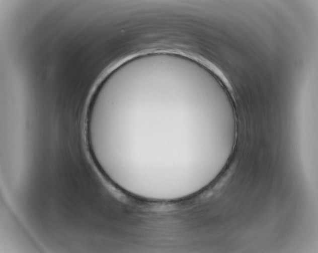X0000115711525200911120953