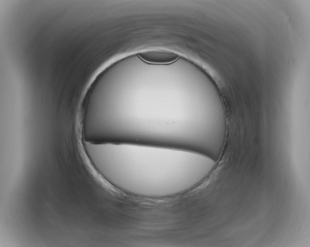 X0000115711526200911120953