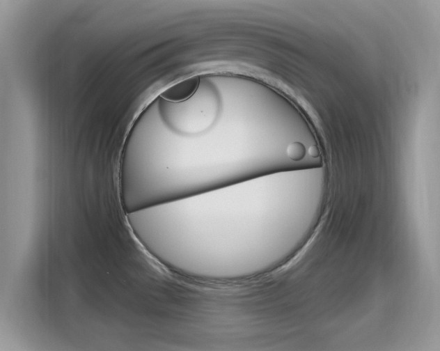 X0000115711529200911120953