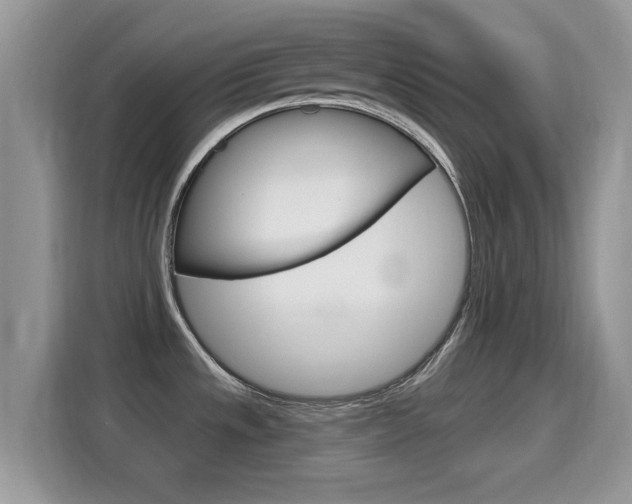 X0000115711533200911120953